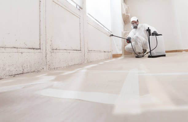 24/7 Emergency Black Mold Remediation experts in Wheaton, MN